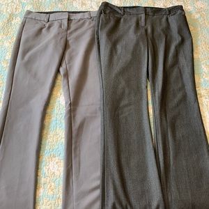 2 Pair Express Low Rise Barely Boot Editor Pant 2R